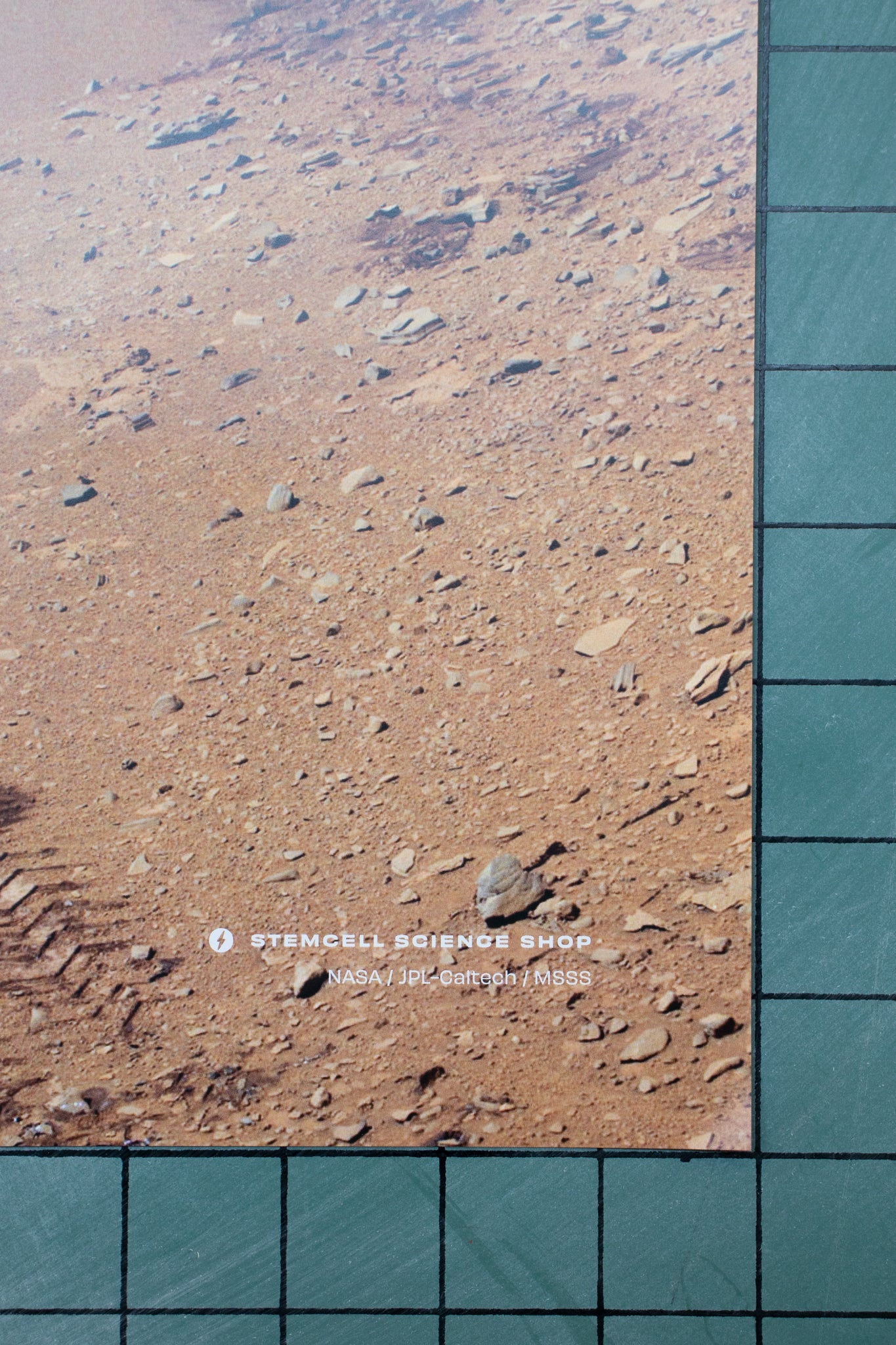 Curiosity Tire Tracks Poster - Charts from Stemcell Science Shop