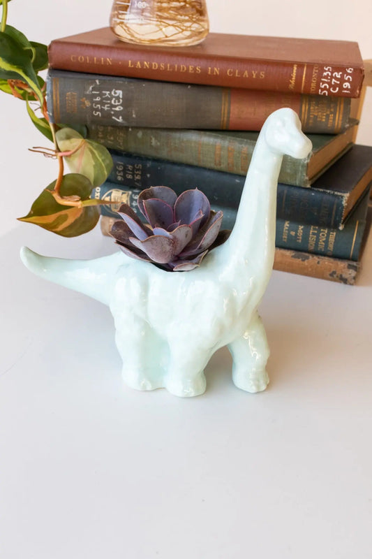 Diplodocus Dinosaur Planter - Light Blue - Household from Stemcell Science Shop