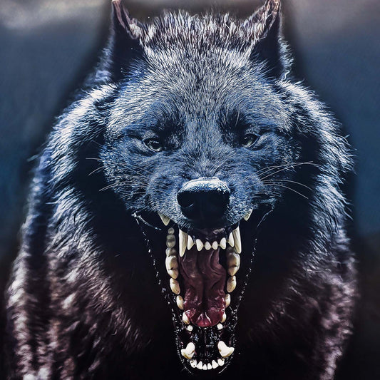 Dire Wolf Jaw Classic Riker Box