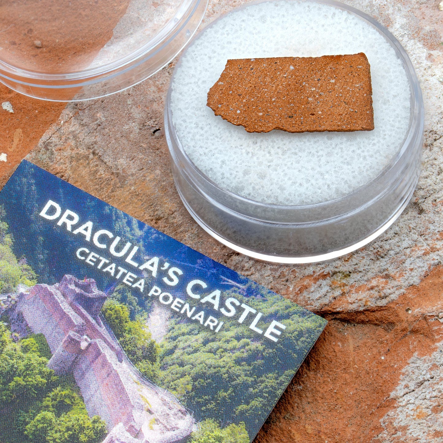 Dracula Castle Brick 🦇