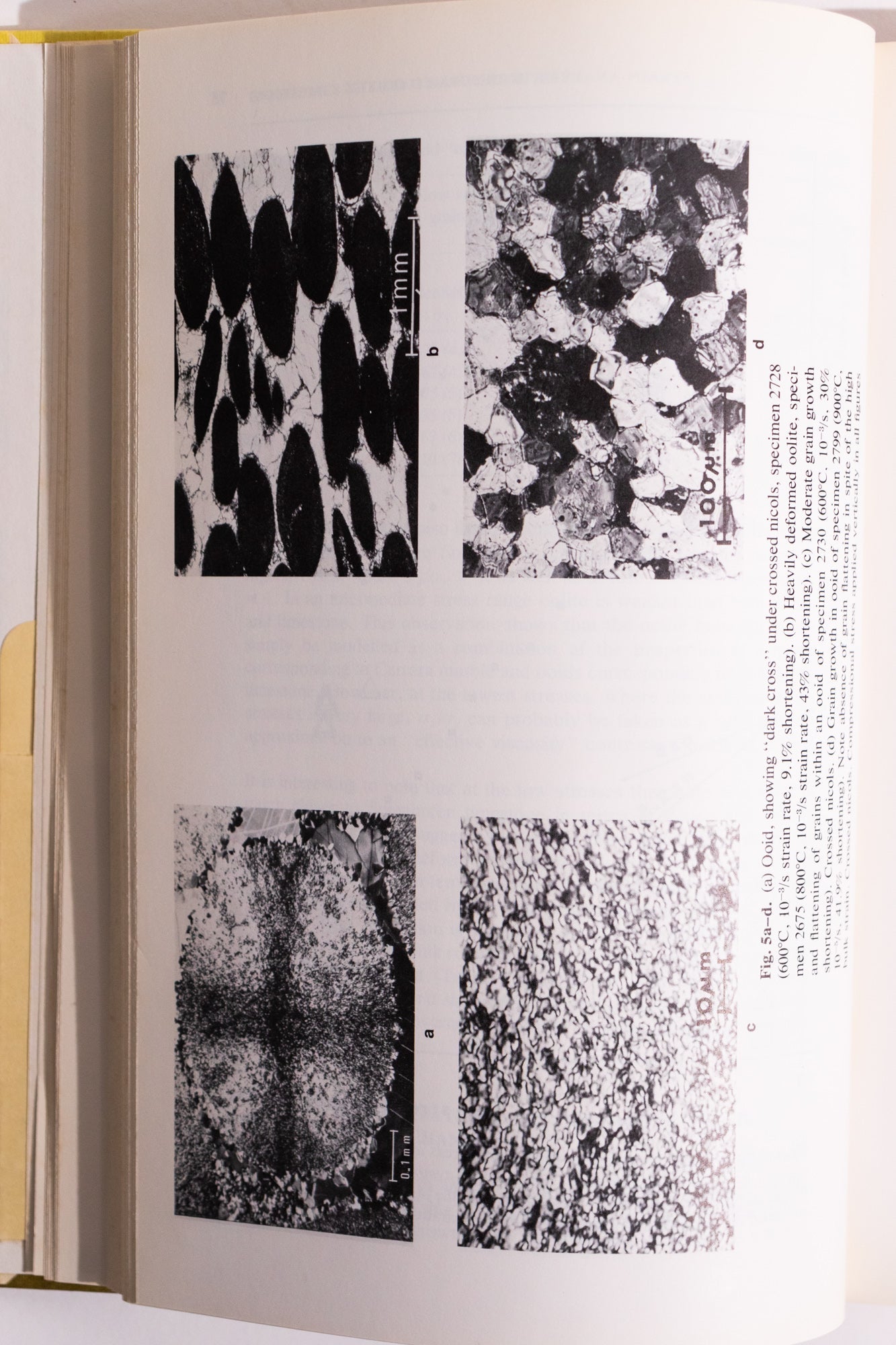 Energetics of Geological Processess - Books from Stemcell Science Shop