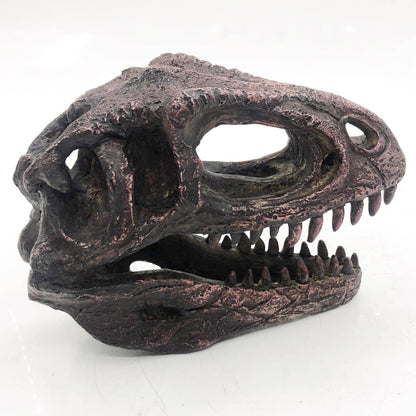 Replica Gigantosaurus Mini Dinosaur Fossil Skull - Stemcell Science Shop