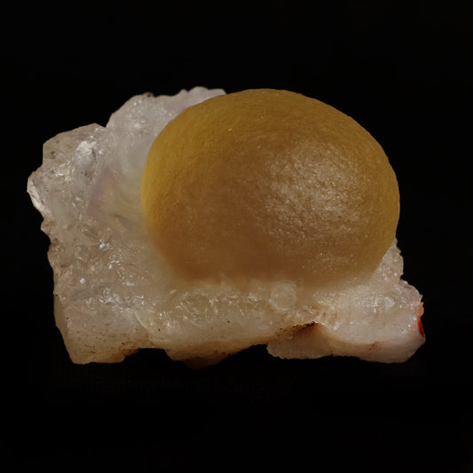 Fluorite (rare botryoidal) on Quartz Natural Mineral Specimen # B 5031