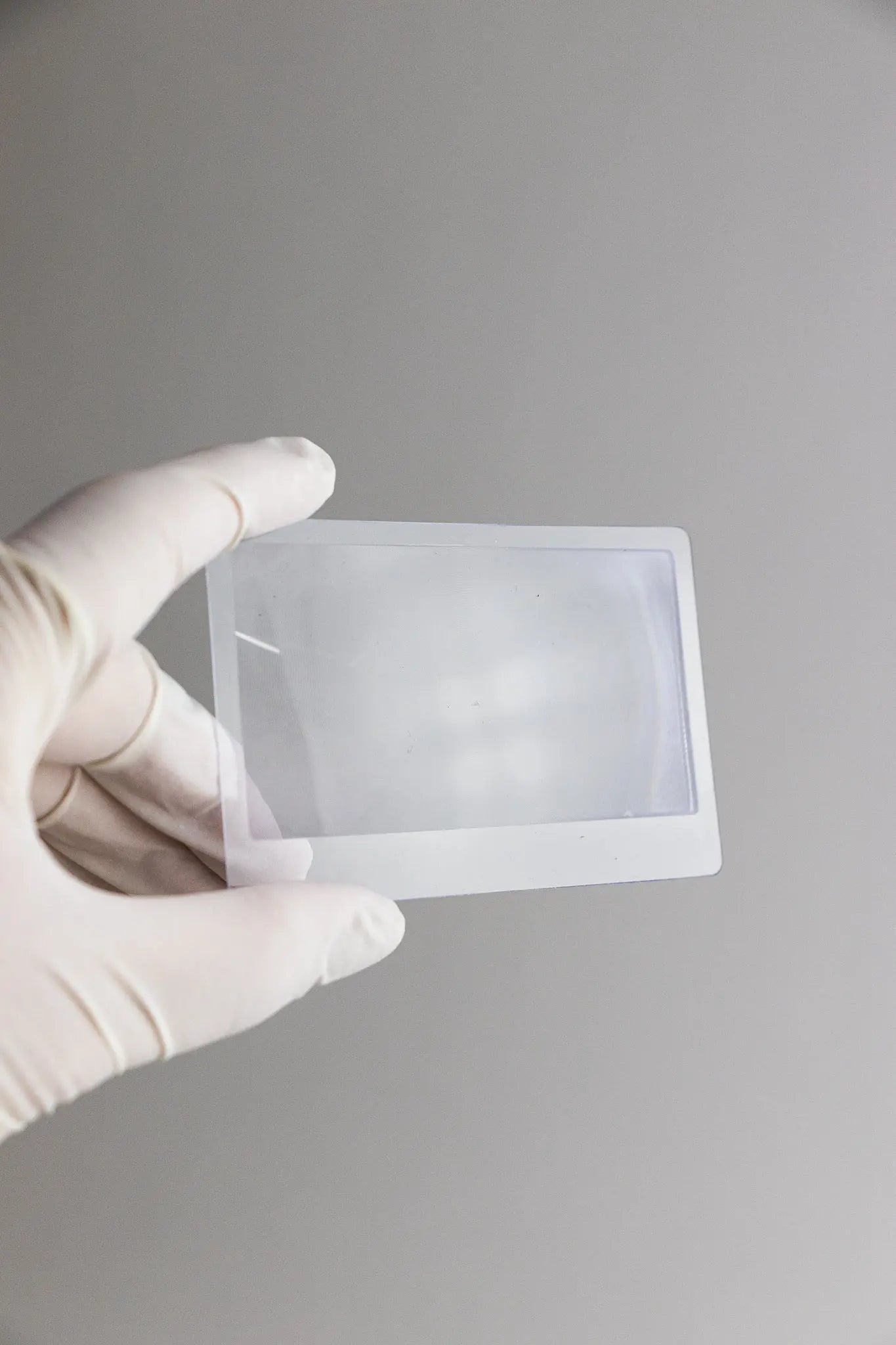 Fresnel Lens - Magnification from Stemcell Science Shop
