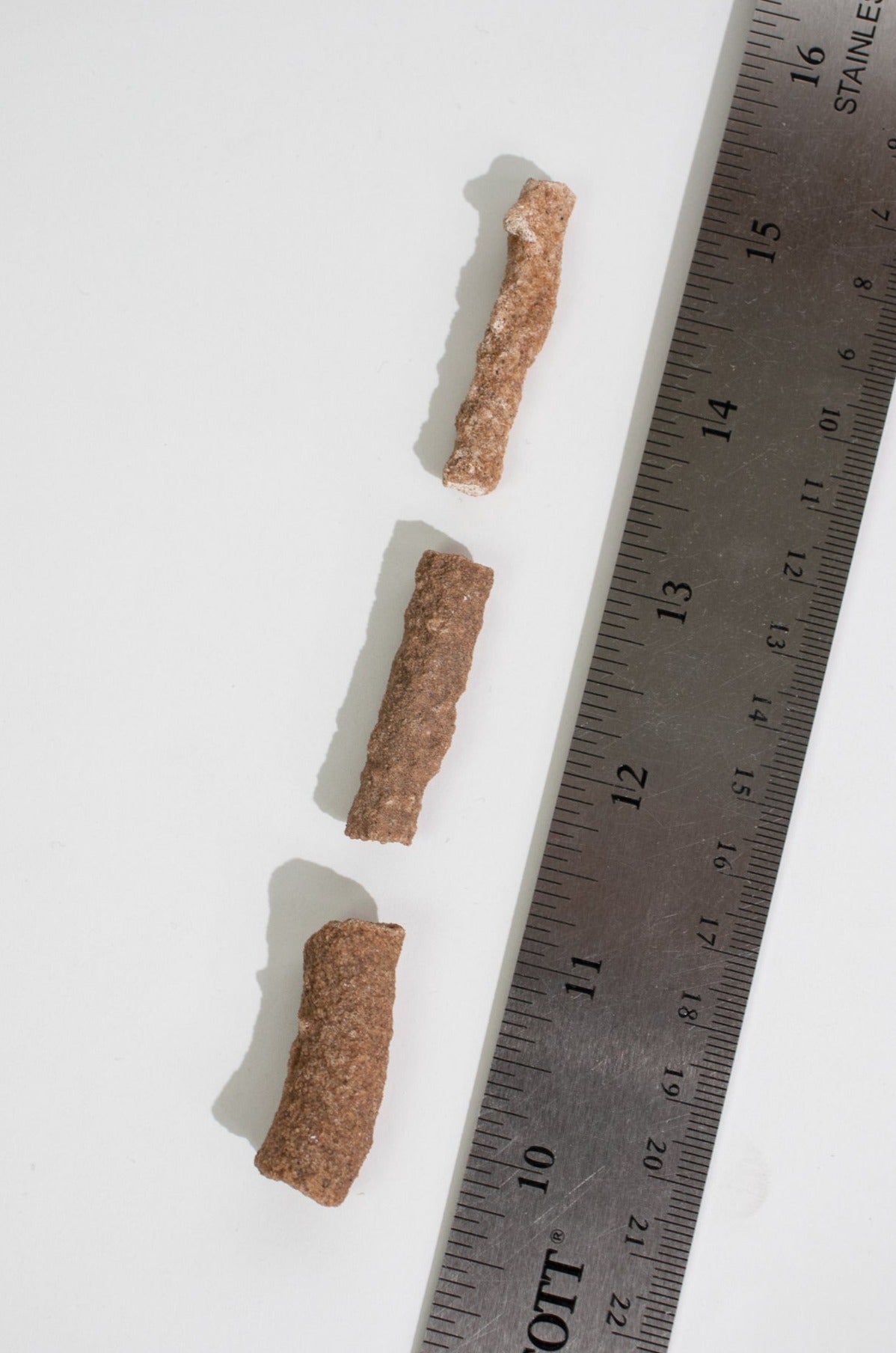 Fulgurite - Fossil from Stemcell Science Shop