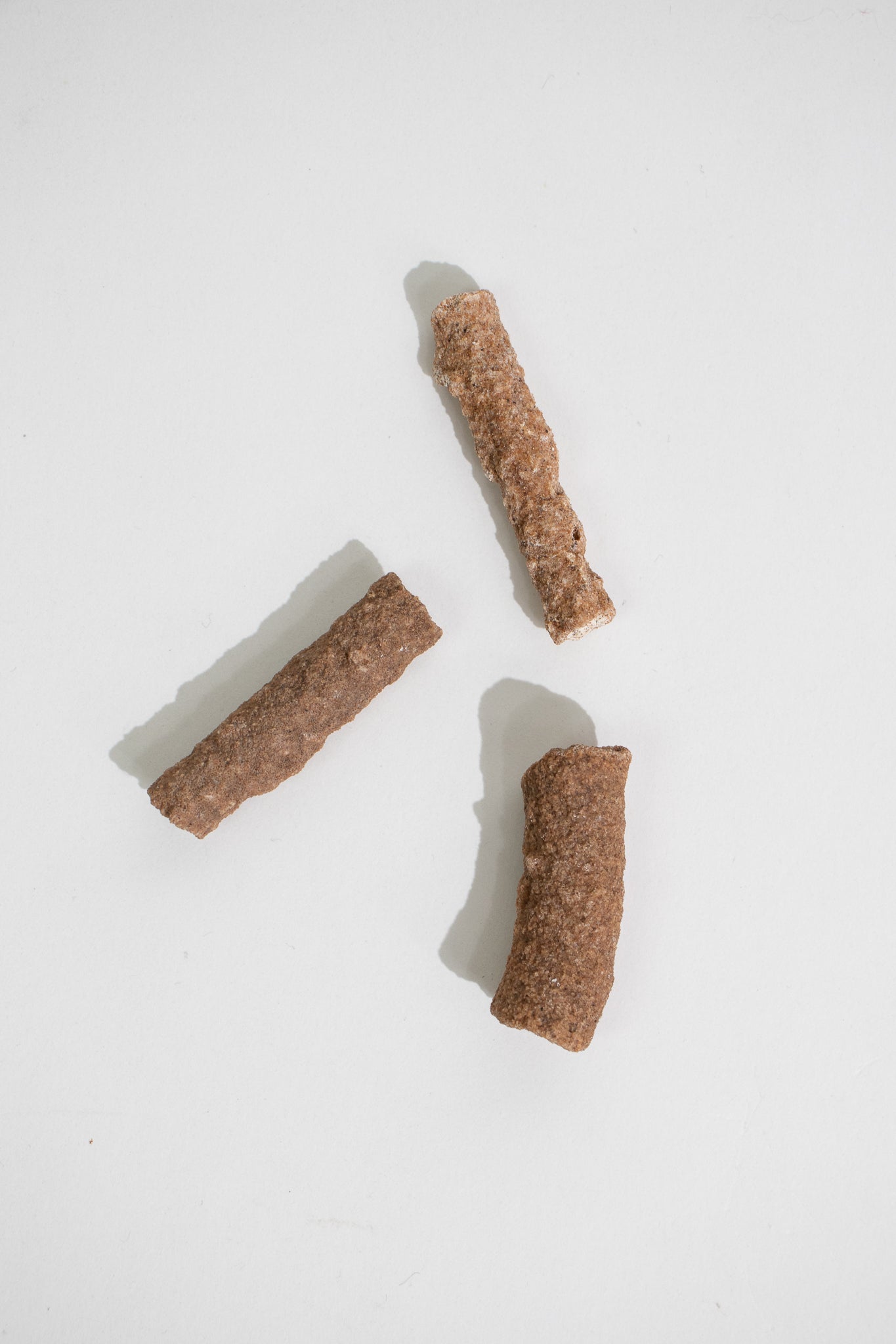 Fulgurite - Fossil from Stemcell Science Shop