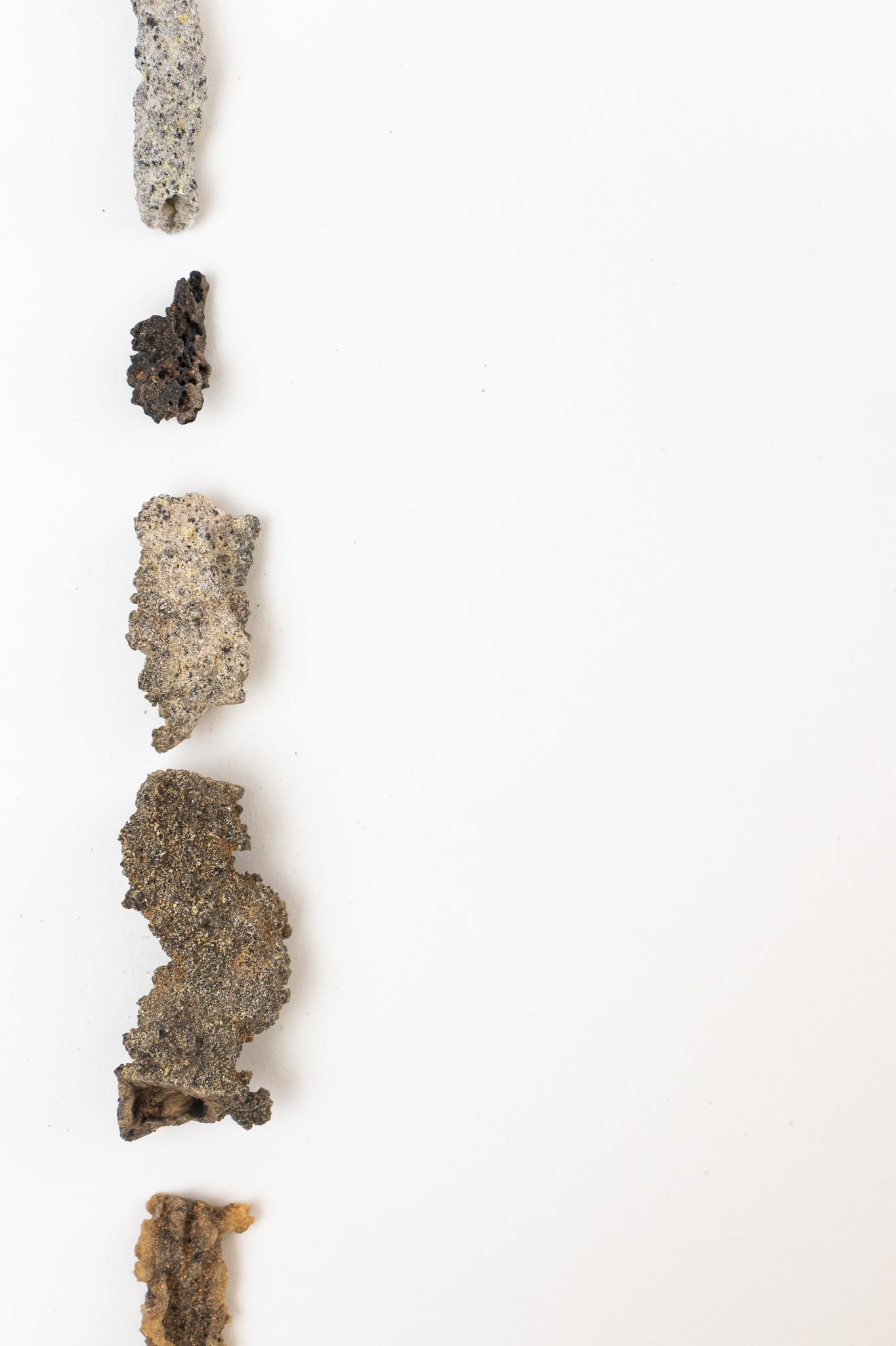 Fulgurite - Fossil from Stemcell Science Shop