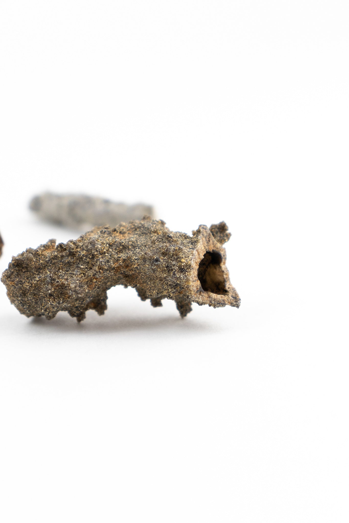 Fulgurite - Fossil from Stemcell Science Shop