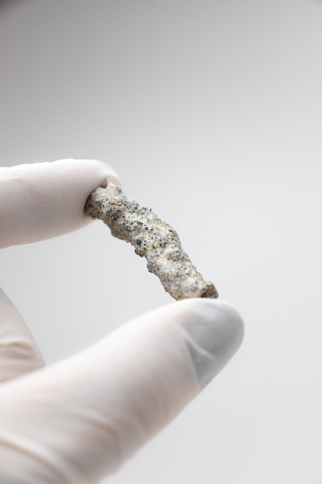 Fulgurite - Fossil from Stemcell Science Shop