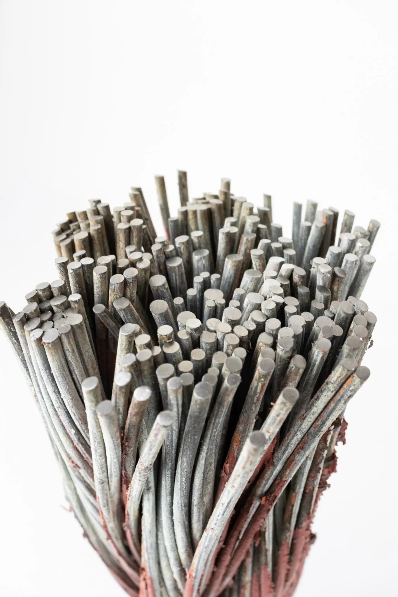 Golden Gate Bridge Cable - Historic Artifacts from Stemcell Science Shop