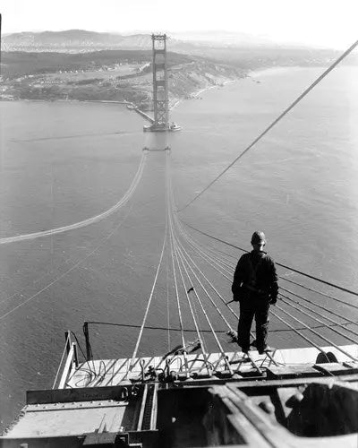 Golden Gate Bridge Cable - Historic Artifacts from Stemcell Science Shop