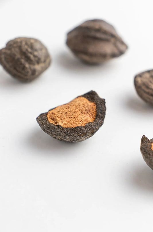 Hematite Spherule - Rocks & Minerals from Stemcell Science Shop