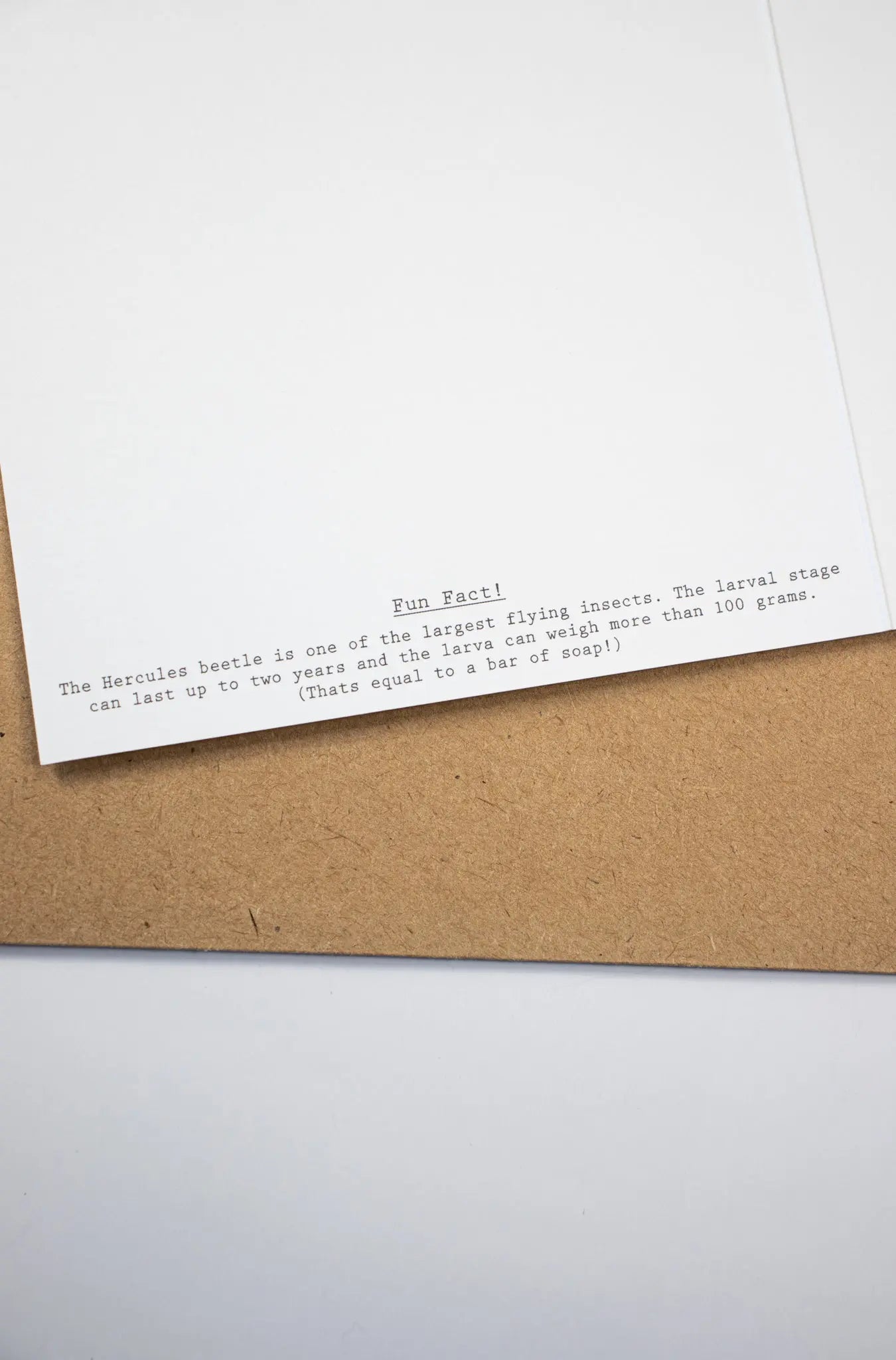 Hercules Beetle Larva Card - Stationery from Stemcell Science Shop