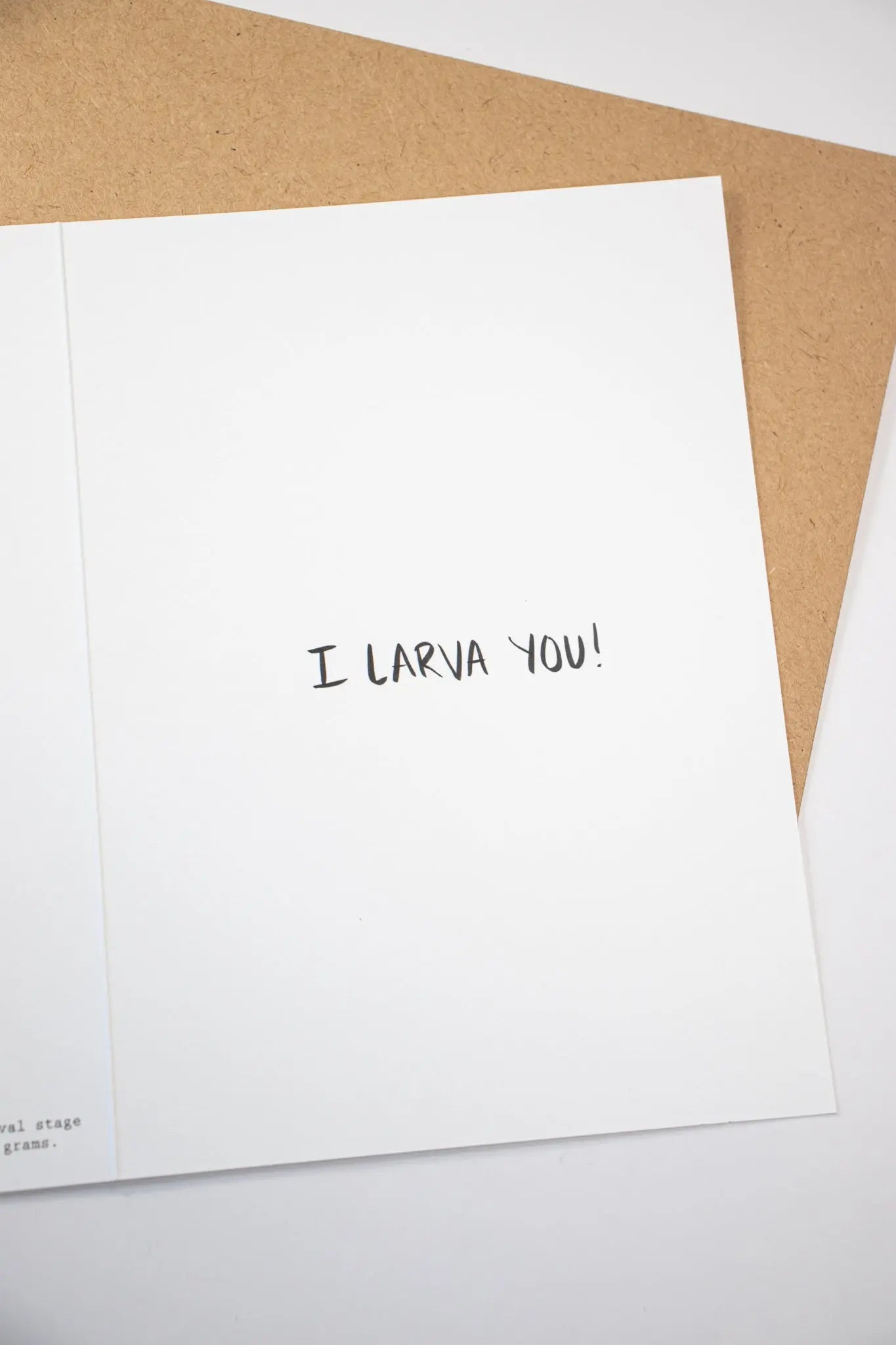 Hercules Beetle Larva Card - Stationery from Stemcell Science Shop