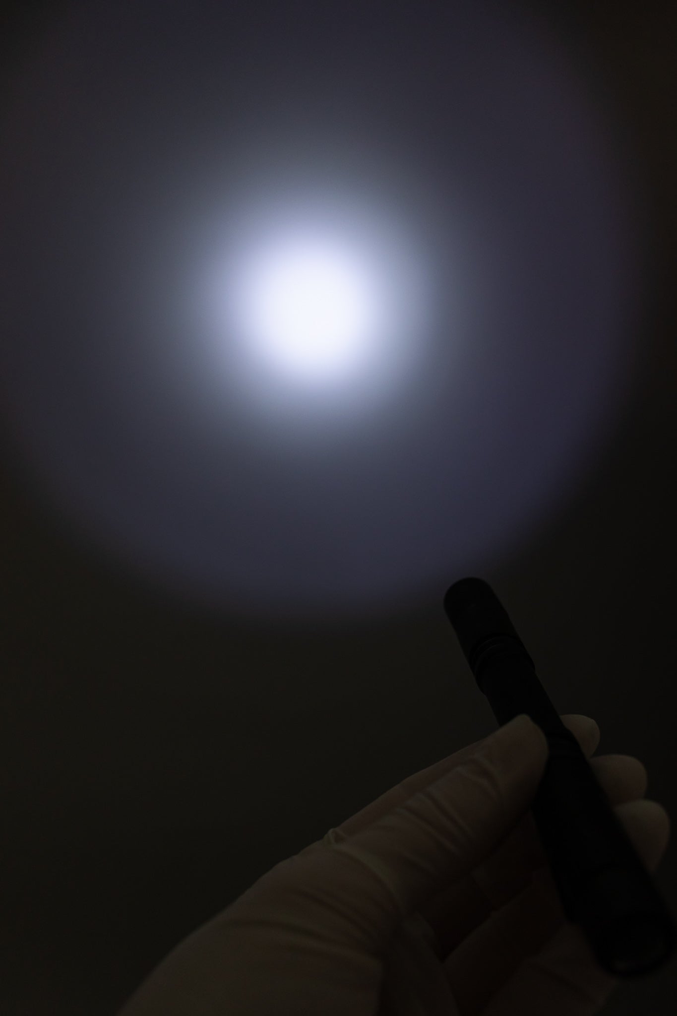 LED Penlight - Tool from Stemcell Science Shop