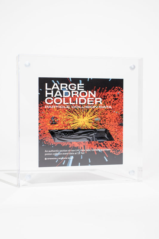 LHC Data Tape - Historic Artifacts from Stemcell Science Shop