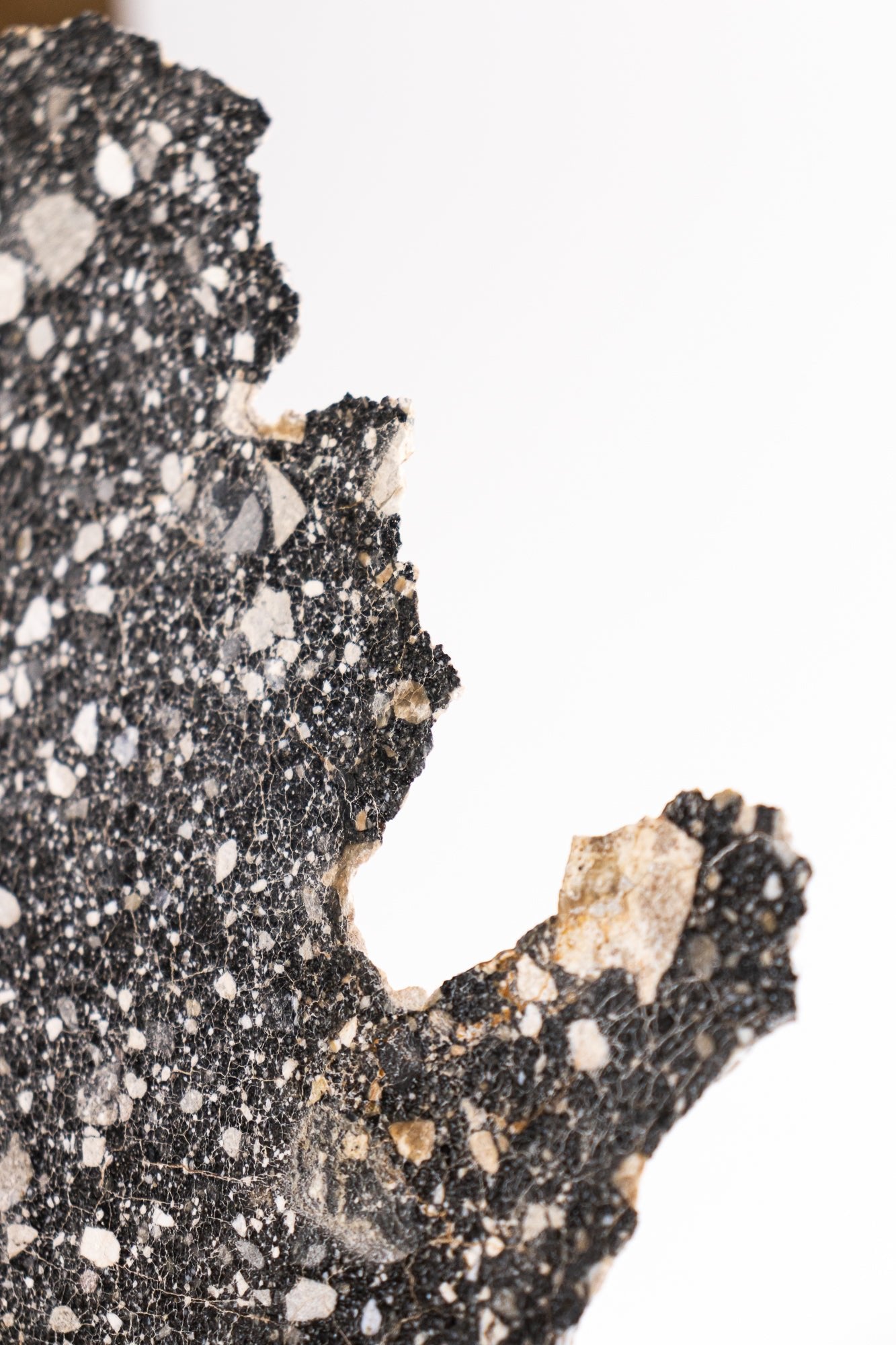 Lunar Meteorite NWA14685 - Meteorites from Stemcell Science Shop