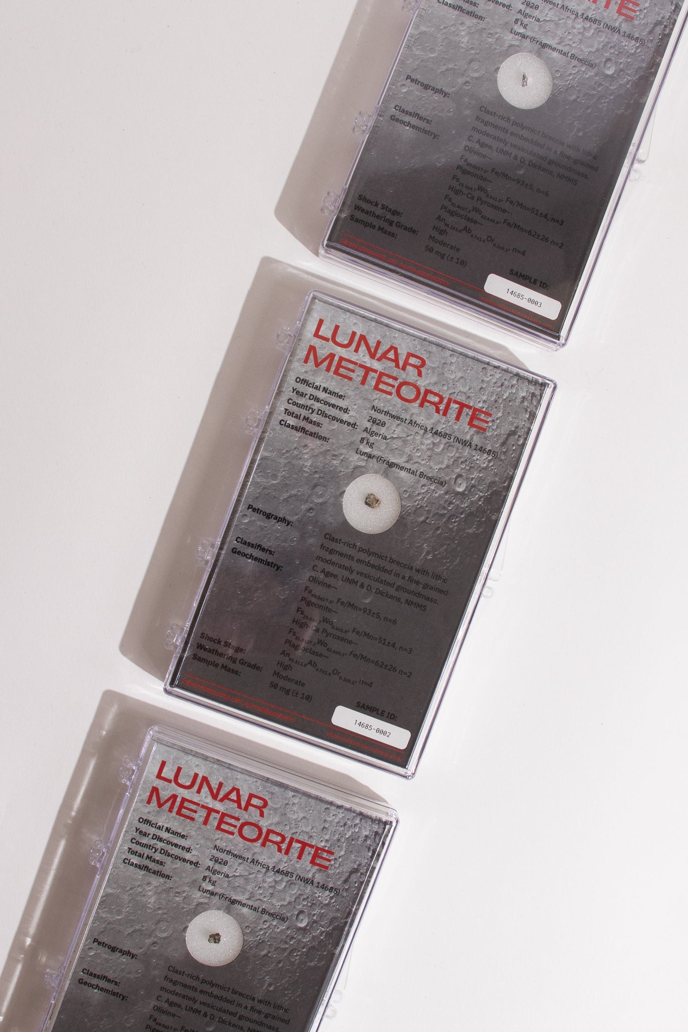 Lunar Meteorite NWA14685 - Meteorites from Stemcell Science Shop