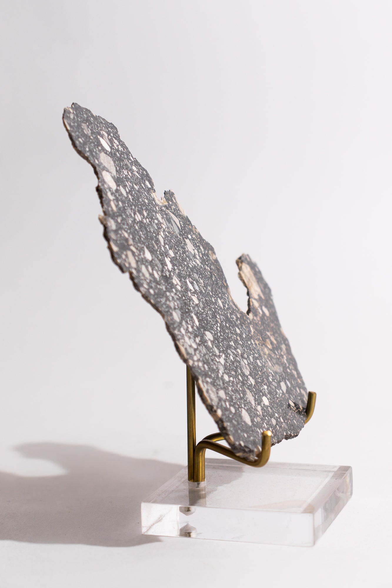 Lunar Meteorite NWA14685 - Meteorites from Stemcell Science Shop