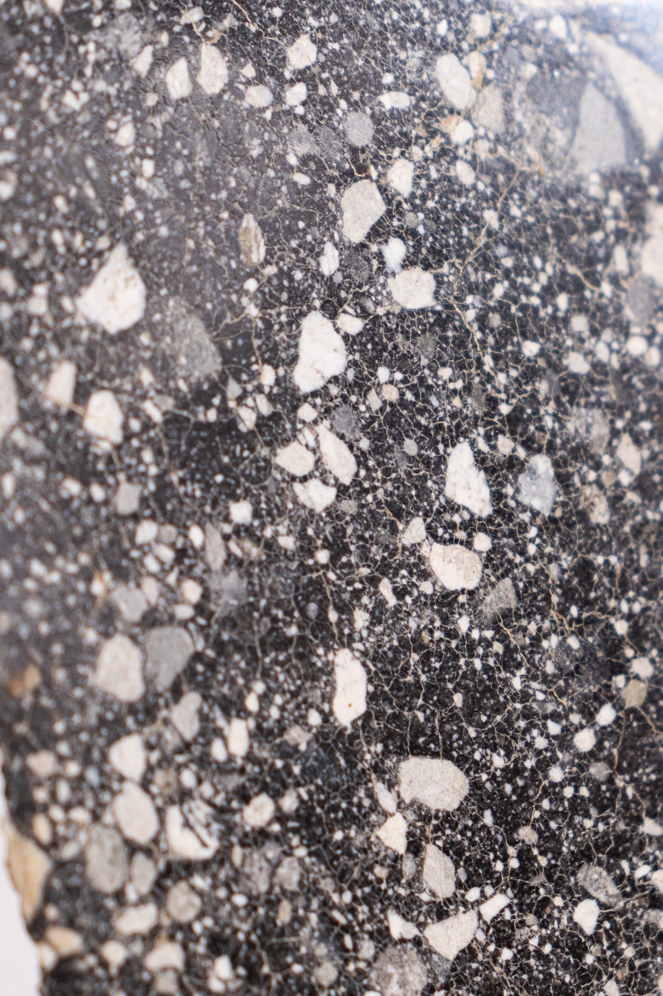 Lunar Meteorite NWA14685 - Meteorites from Stemcell Science Shop