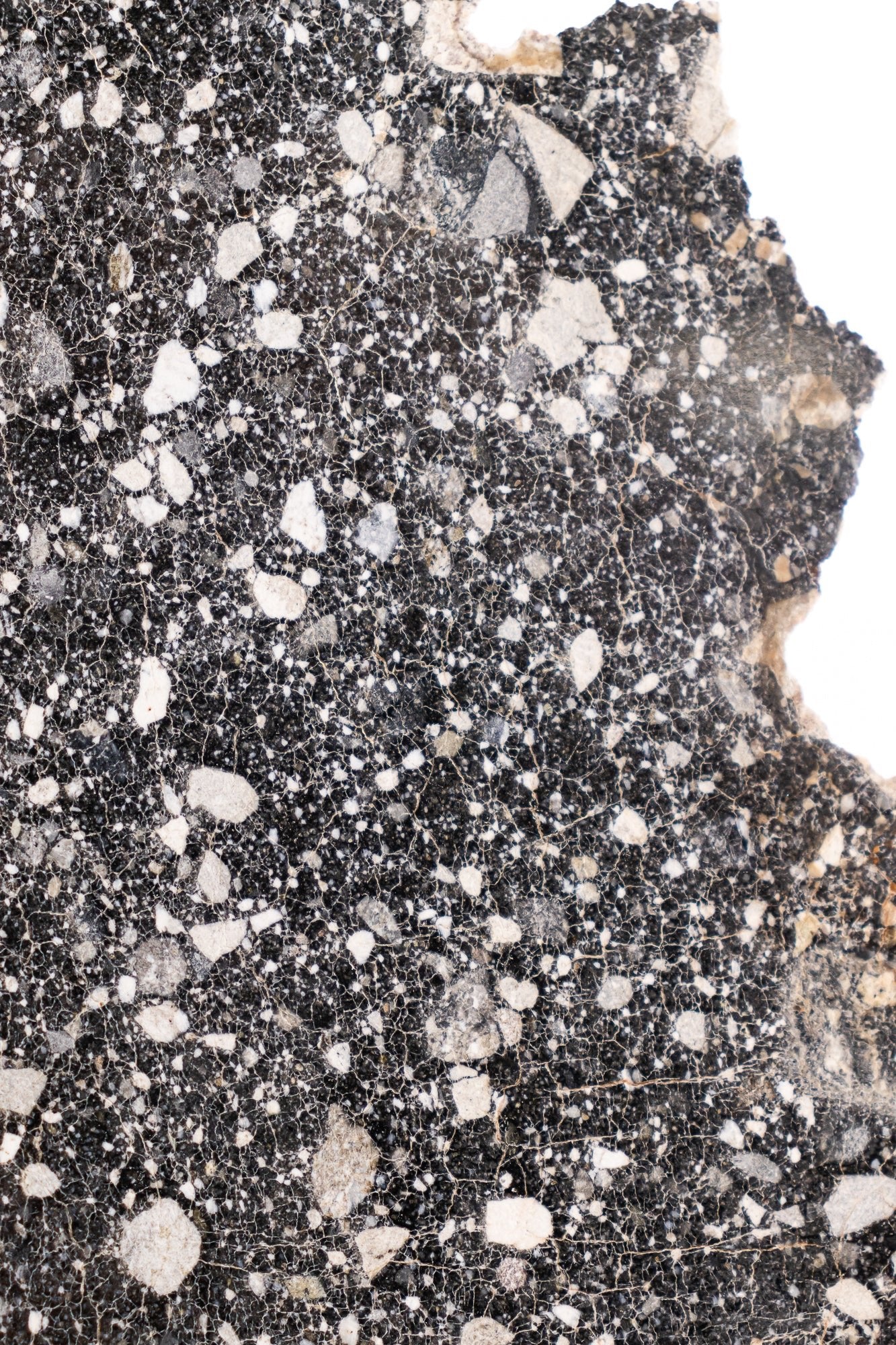 Lunar Meteorite NWA14685 - Meteorites from Stemcell Science Shop