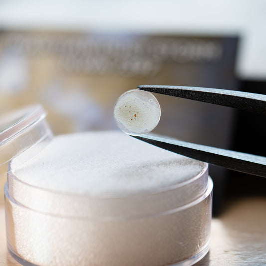 Martian Dust Storm NWA 7397 - Martian Meteorite