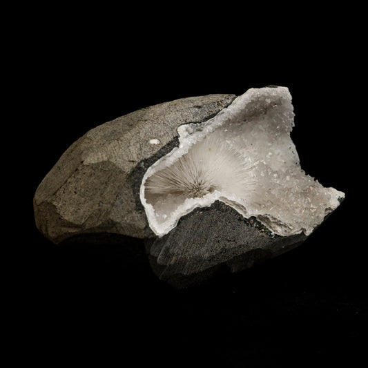 Scolecite Porcupine Spray inside MM Quartz Geode Natural Mineral Specimen # B 5055