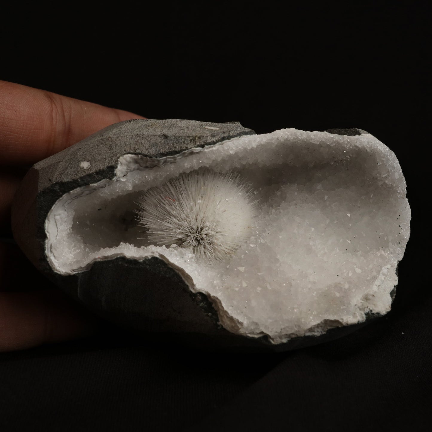 Scolecite Porcupine Spray inside MM Quartz Geode Natural Mineral Specimen # B 5055