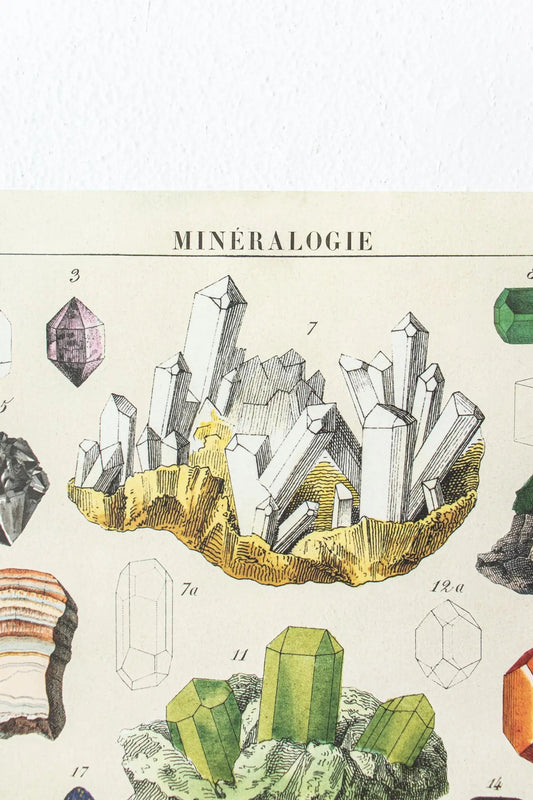 Mineralogy Scientific Chart - Charts from Stemcell Science Shop