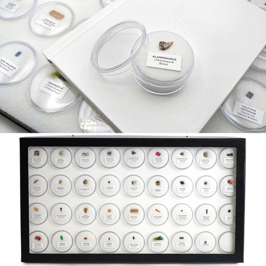 Mini Museum - Fifth Edition (TOUCH - 34 Specimens)