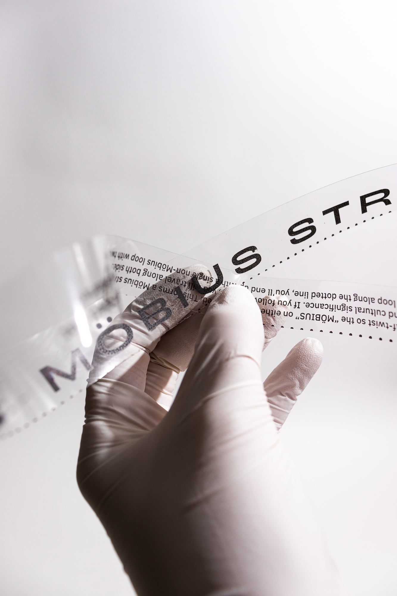 Möbius Strip - from Stemcell Science Shop