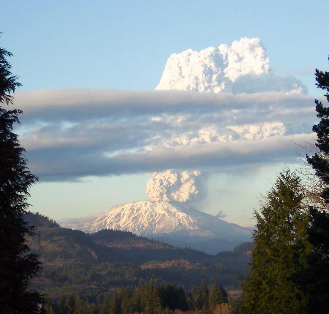 Mount St. Helens Volcanic Ash - Historic Artifacts from Stemcell Science Shop