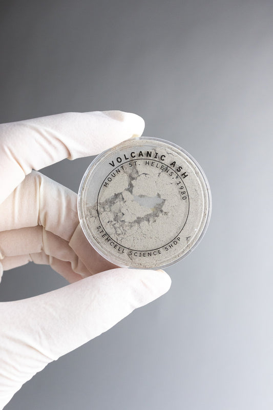 Mount St. Helens Volcanic Ash - Historic Artifacts from Stemcell Science Shop