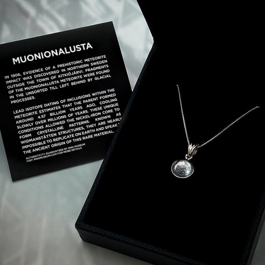 Muonionalusta Meteorite Pendant Necklace