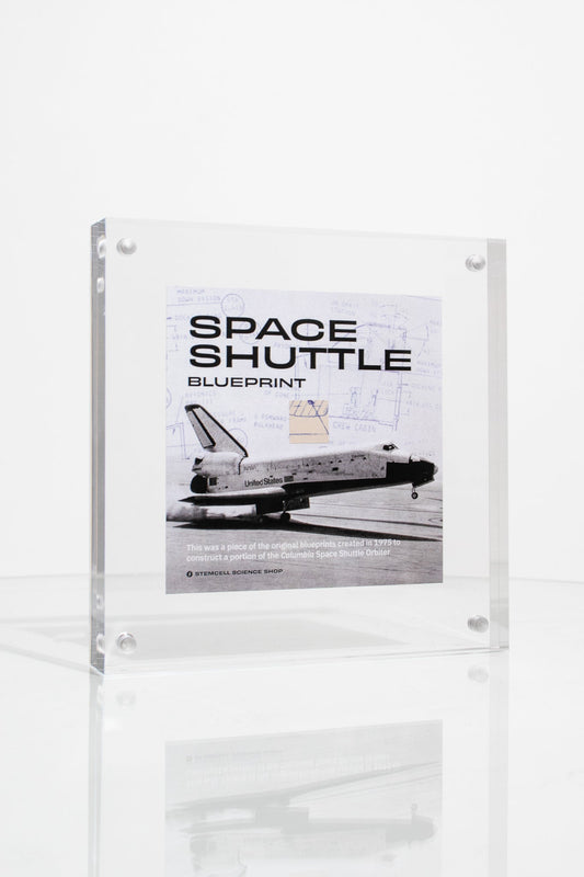 NASA Space Shuttle Blueprint Fragment - Historic Artifacts from Stemcell Science Shop