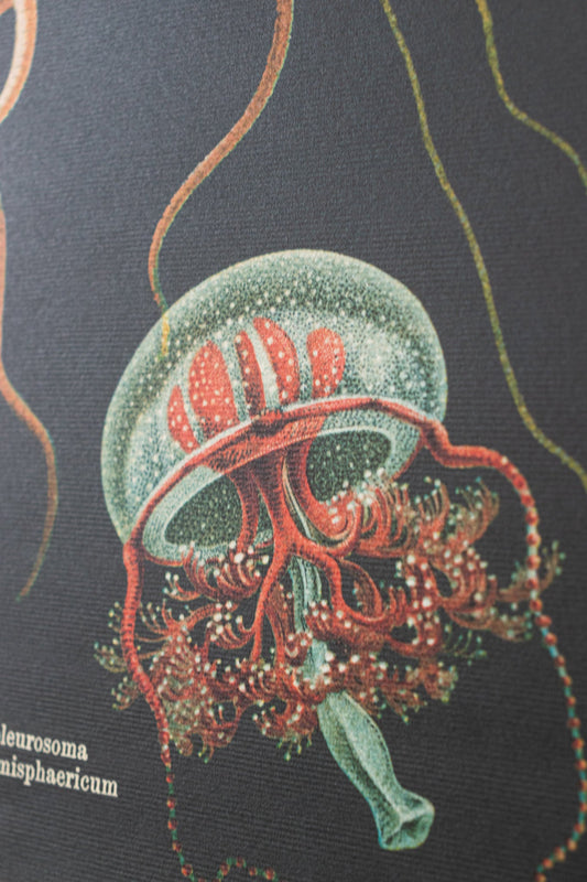 Oceanography Scientific Chart - Charts from Stemcell Science Shop