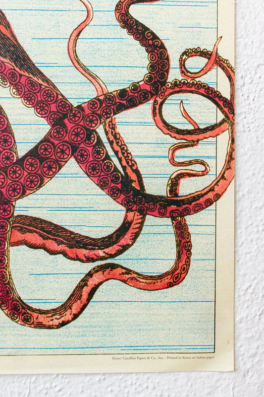 Octopods Scientific Chart - Charts from Stemcell Science Shop