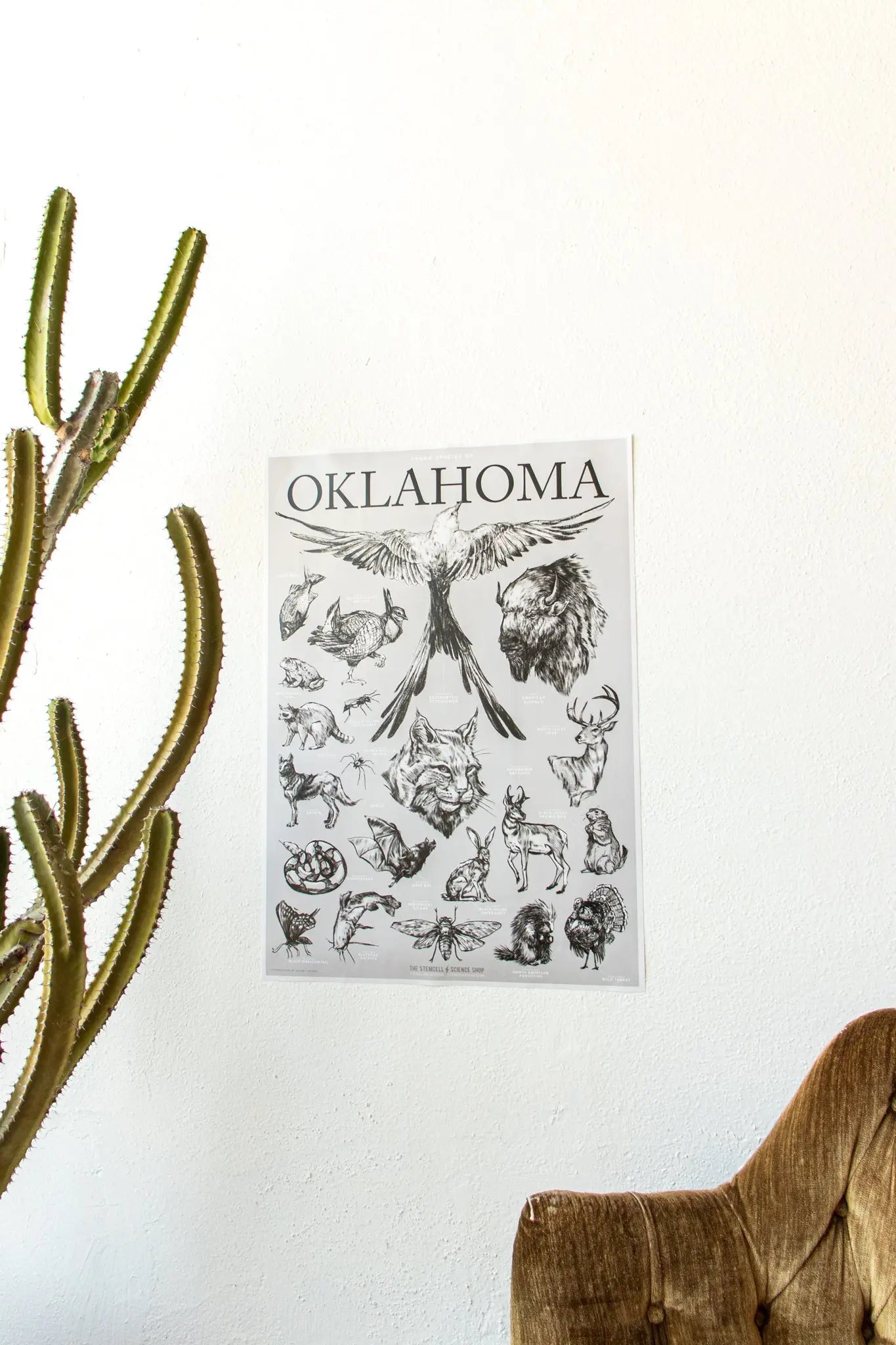 Oklahoma Wildlife Chart - Charts from Stemcell Science Shop