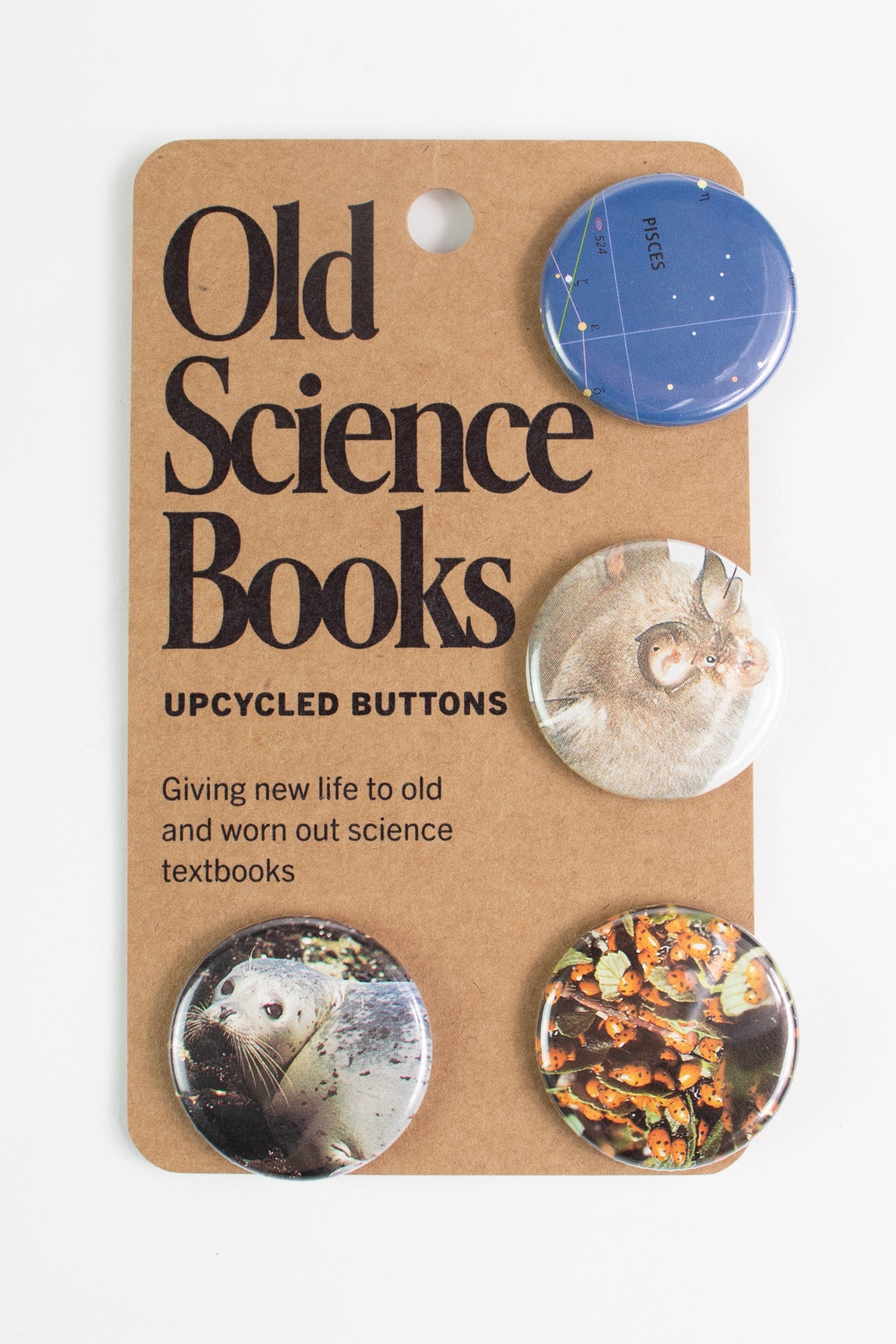 Old Science Book: Upcycled Buttons - Pin from Stemcell Science Shop