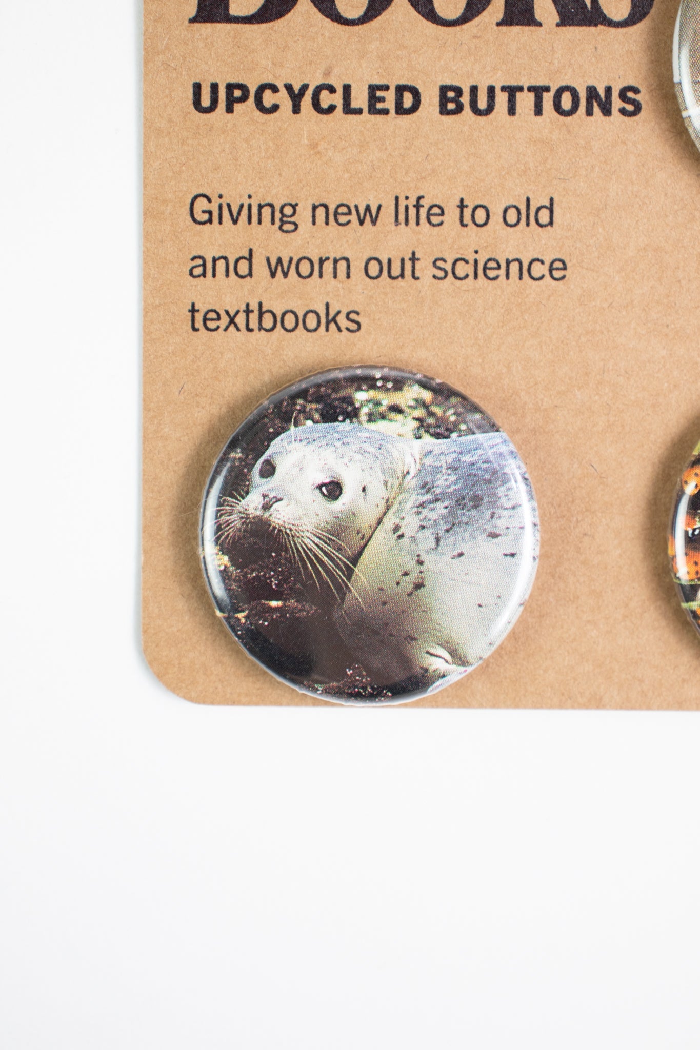 Old Science Book: Upcycled Buttons - Pin from Stemcell Science Shop