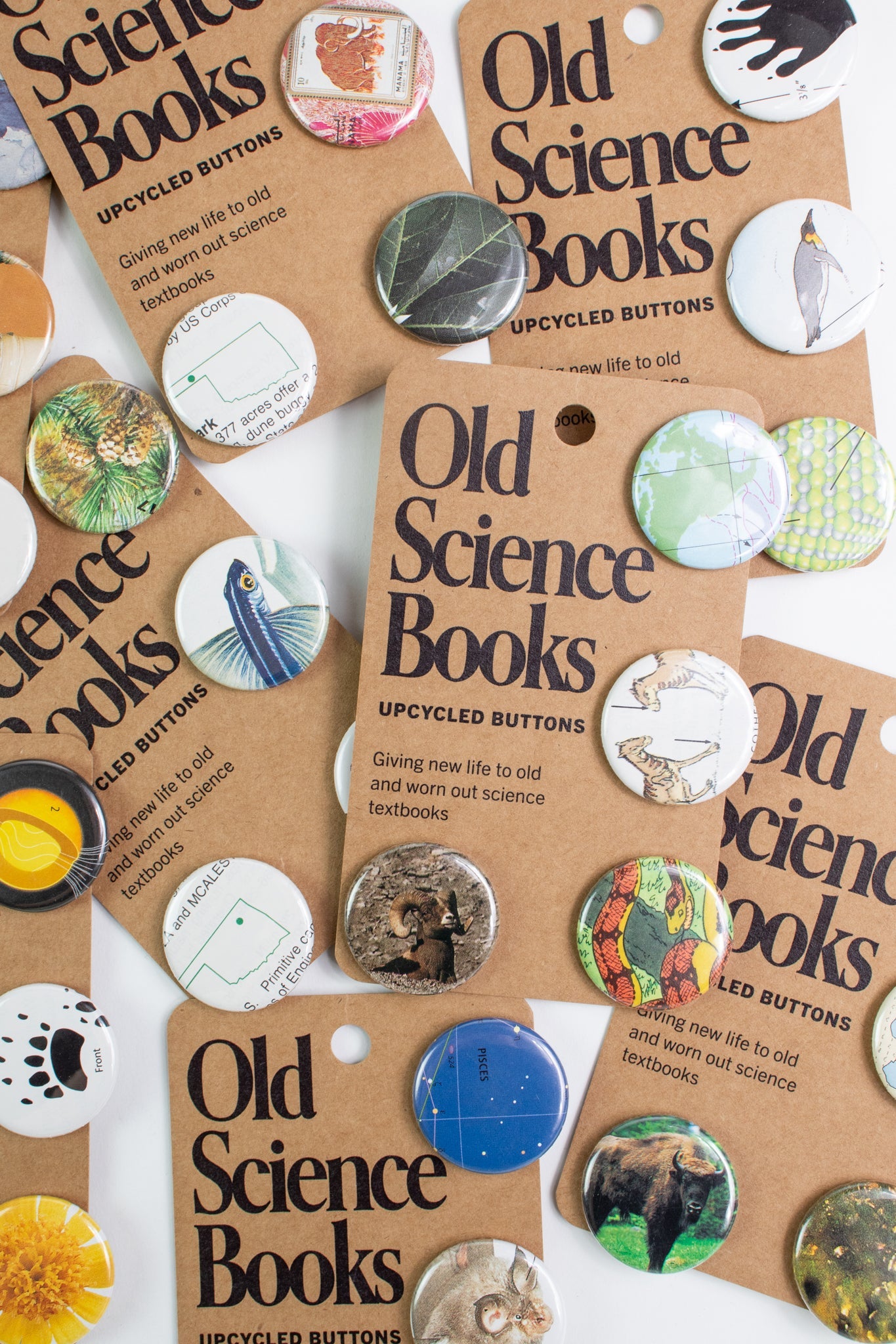Old Science Book: Upcycled Buttons - Pin from Stemcell Science Shop