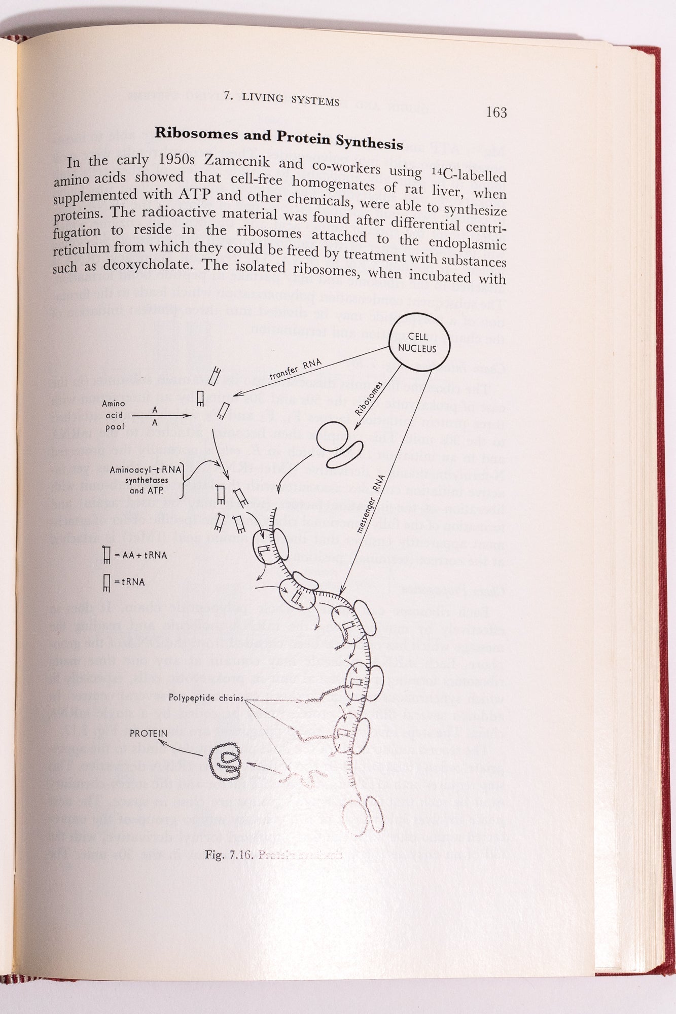 Origin and Development of Living Systems - Books from Stemcell Science Shop