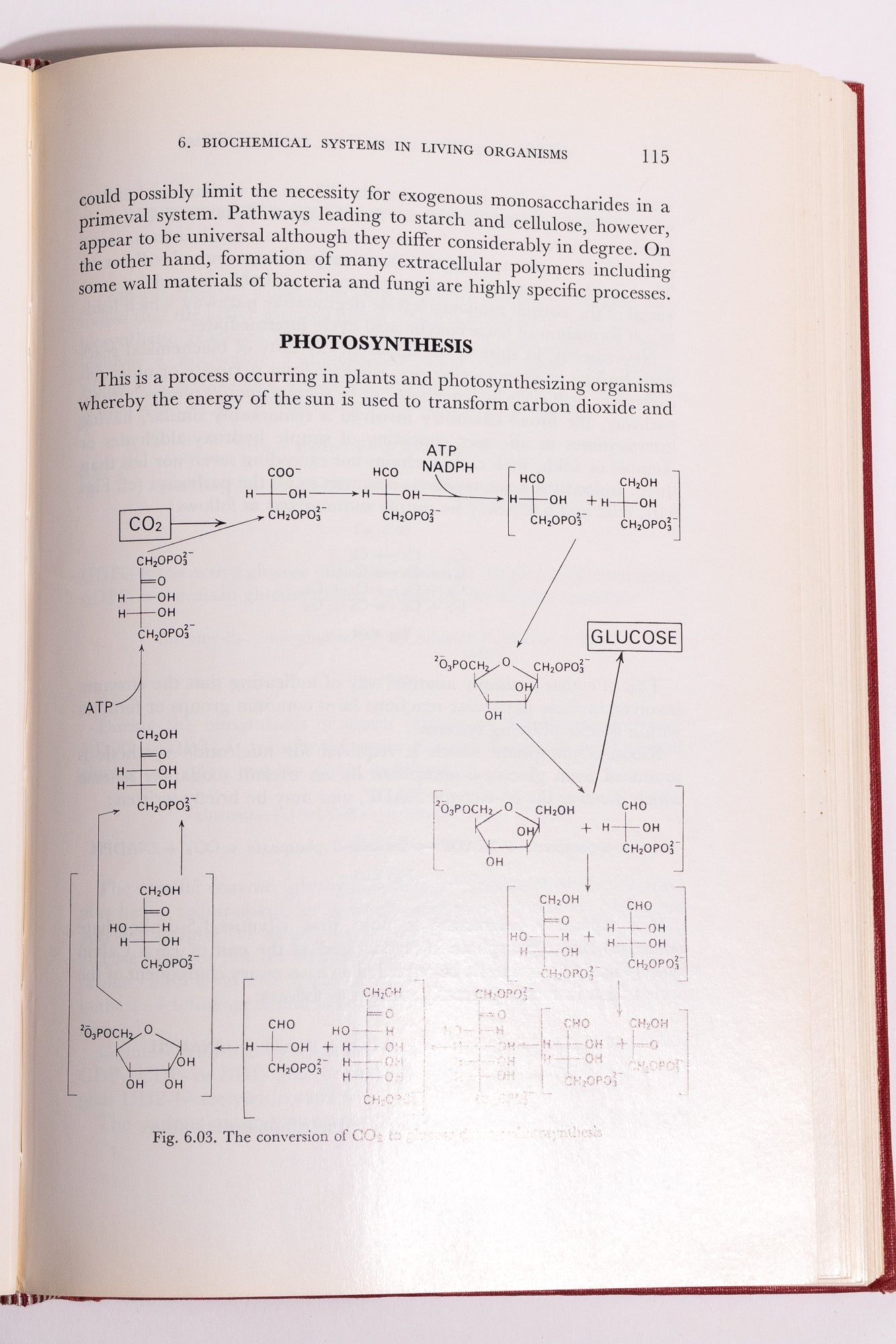 Origin and Development of Living Systems - Books from Stemcell Science Shop