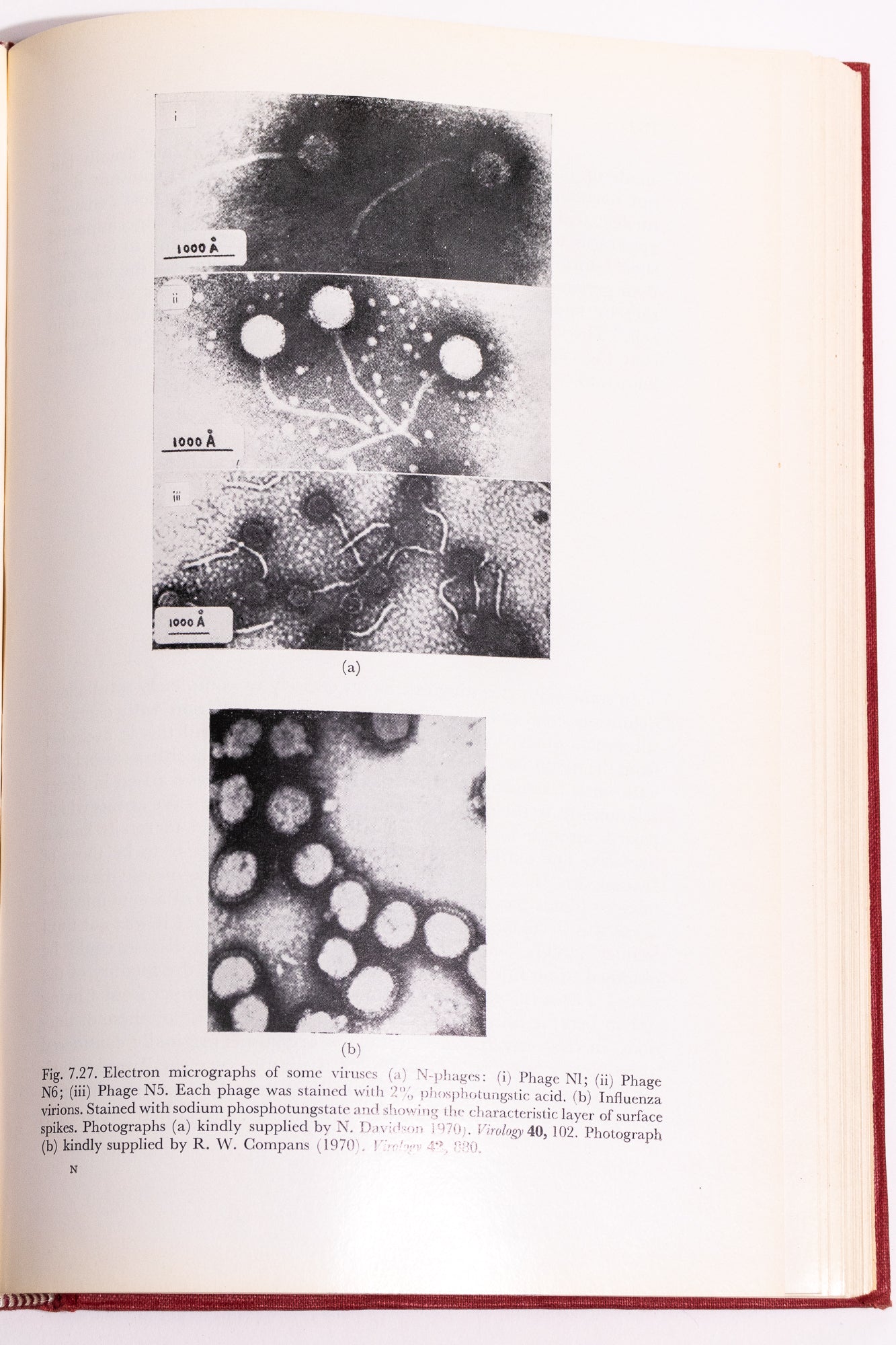Origin and Development of Living Systems - Books from Stemcell Science Shop