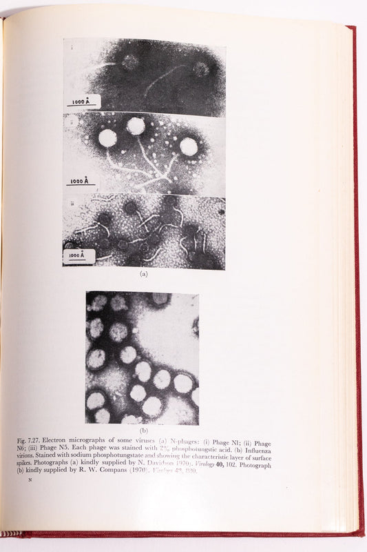 Origin and Development of Living Systems - Books from Stemcell Science Shop