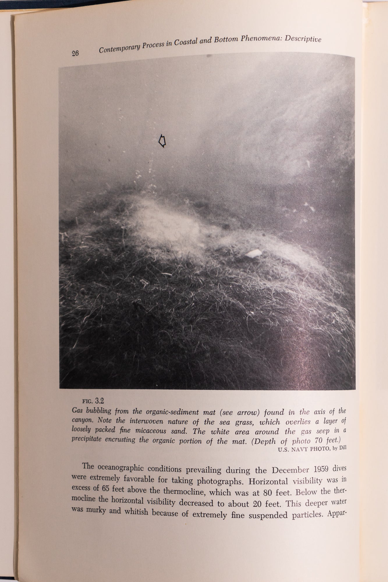 Papers in Marine Geology - Books from Stemcell Science Shop