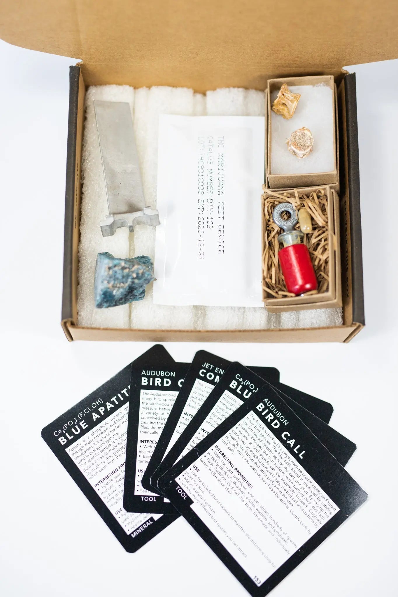 Past Matter Mystery - Collection Box from Stemcell Science Shop