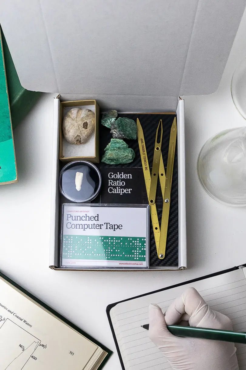Past Matter Mystery - Collection Box from Stemcell Science Shop