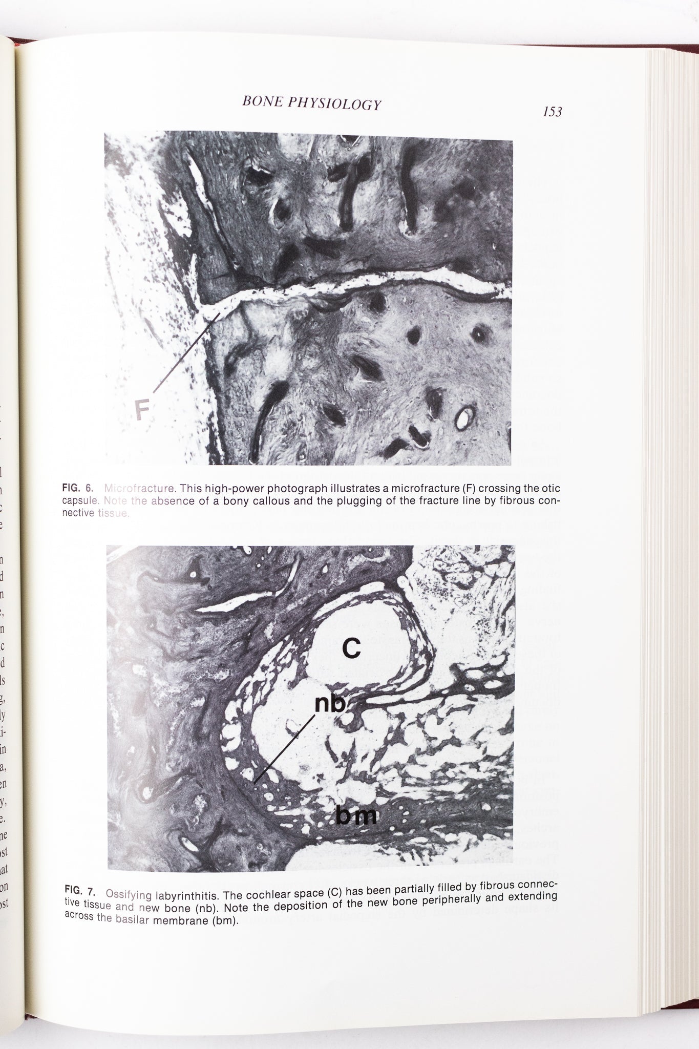 Physiology of the Ear - Books from Stemcell Science Shop