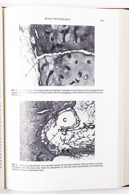 Physiology of the Ear - Books from Stemcell Science Shop